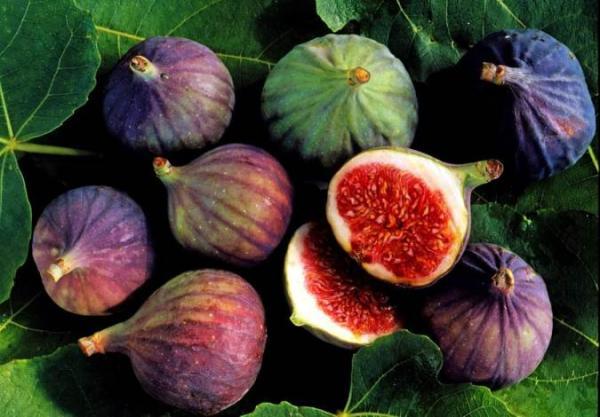 آشنایی با خواص فوق العاده انجیر