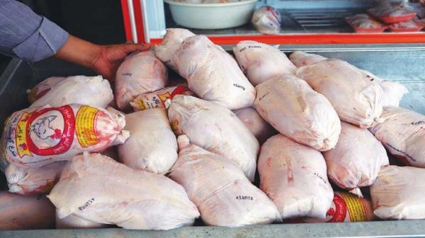 صف های طولانی برای خرید مرغ منجمد ، رئیس اتحادیه فروشندگان پرنده و ماهی : تا 20 ادیبهشت ماه صبرکنید...